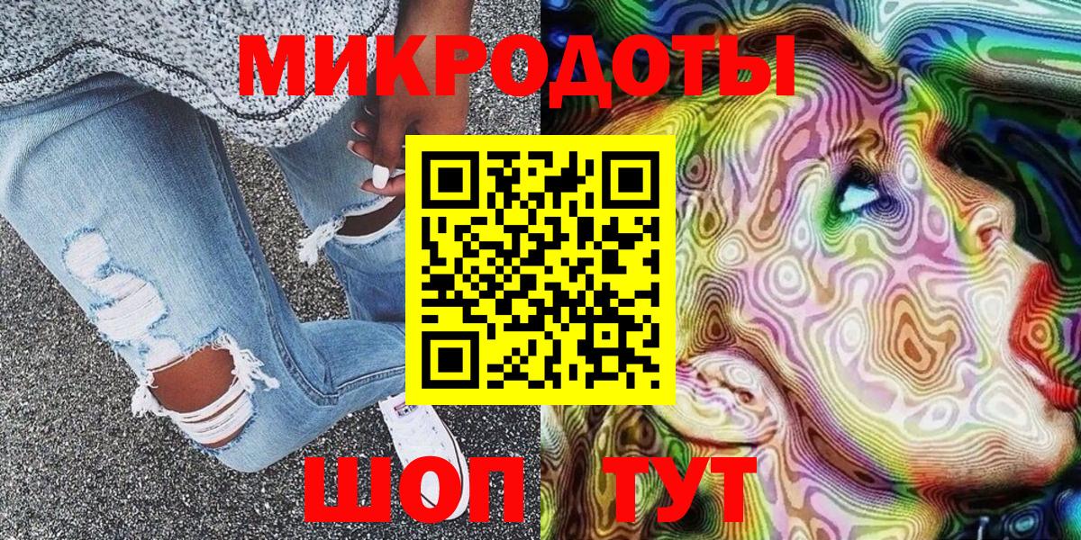 Галлюциногенные грибы Psilocybe Торжок