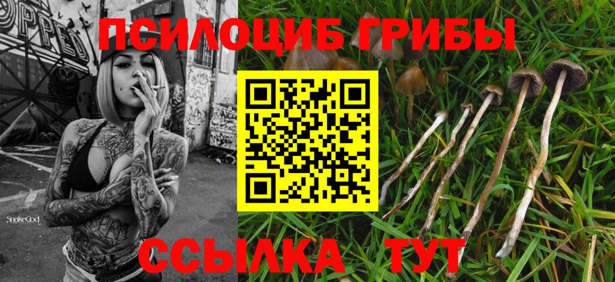 Псилоцибиновые грибы Magic Shrooms  Вход с VPN  Торжок 